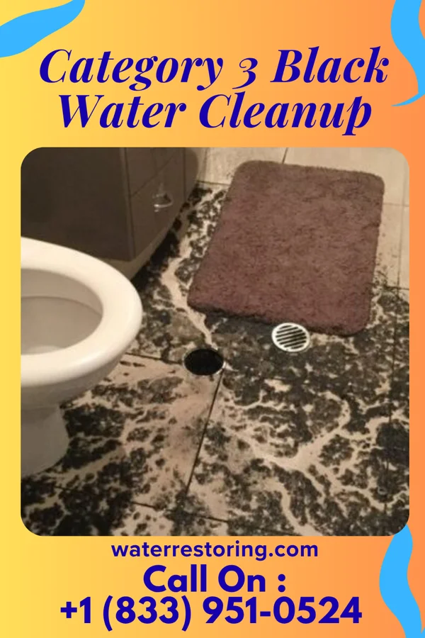 Category 3 Black Water Cleanup in St. Anthony, MN
